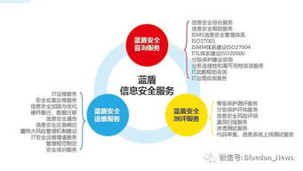 藍盾安全整體外包服務(wù)解決方案 以信息系統(tǒng)集成為基石，構(gòu)筑全方位信息安全堡壘